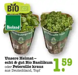 E-Center Unsere heimat bio basilikum Angebot