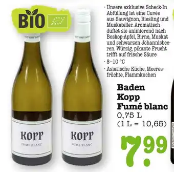 E-Center Kopp fumé blanc Angebot