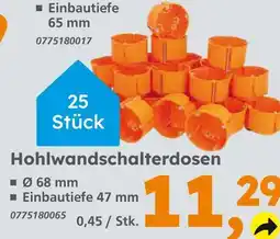 Globus Baumarkt Hohlwandschalterdosen Angebot