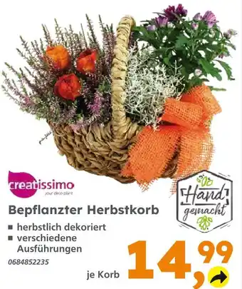 Globus Baumarkt Creatissimo bepflanzter herbstkorb Angebot