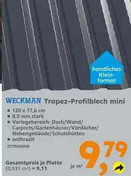 Globus Baumarkt Weckman trapez-profilblech mini Angebot