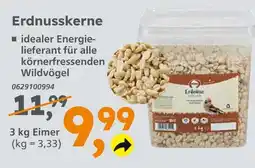 Globus Baumarkt Erdnusskerne Angebot