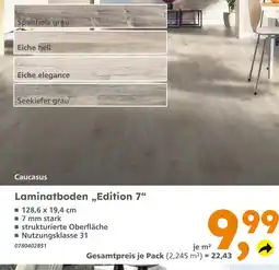 Globus Baumarkt Spaltholz grau Angebot