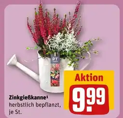 REWE Zinkgießkanne Angebot