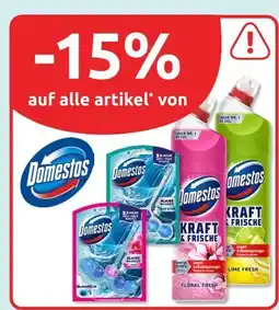 Budni Domestos blau aktiv wc-reiniger Angebot
