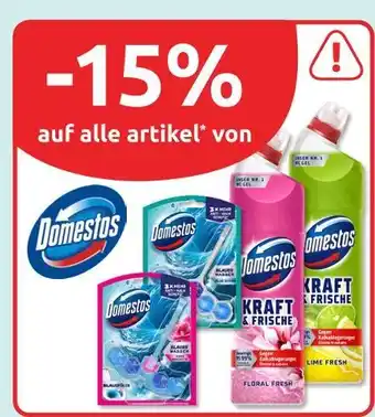 Budni Domestos blau aktiv wc-reiniger Angebot