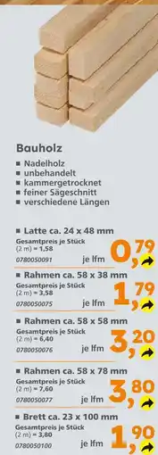 Globus Baumarkt Latte ca. 24 x 48 mm Angebot