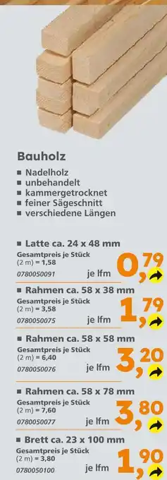 Globus Baumarkt Latte ca. 24 x 48 mm Angebot