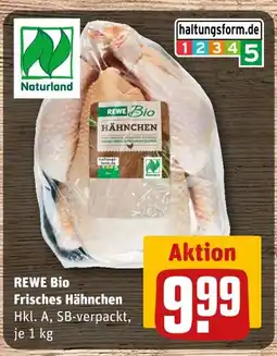 REWE Rewe bio frisches hähnchen Angebot