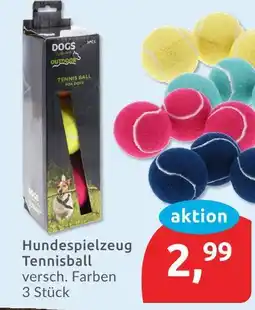 Budni Dogs outdoor hundespielzeug tennisball Angebot
