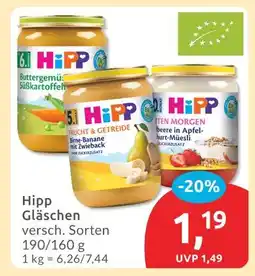 Budni Hipp buttergemüse süßkartoffeln Angebot