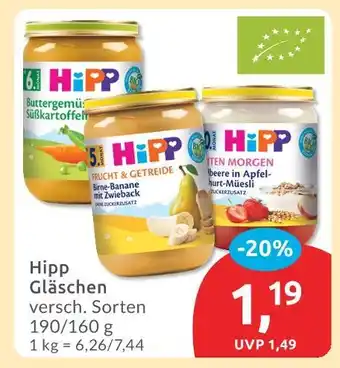 Budni Hipp buttergemüse süßkartoffeln Angebot