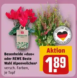 REWE Rewe beste wahl besenheide duo Angebot