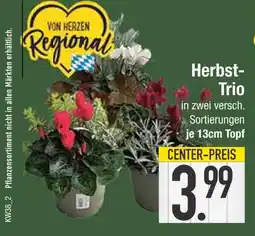 Edeka Von herzen regional herbst-trio Angebot