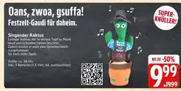 Marktkauf Singender kaktus Angebot