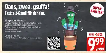 Marktkauf Singender kaktus Angebot