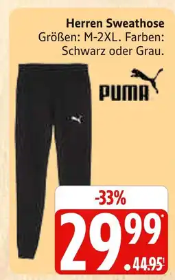 Marktkauf Puma herren sweathose Angebot