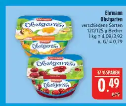 Marktkauf Ehrmann obstgarten pfirsich-maracuja Angebot