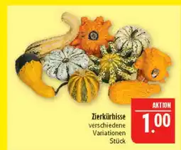 Marktkauf Zierkürbisse Angebot