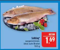 Marktkauf Saibling Angebot