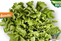 Edeka Unsere Heimat Echt & Gut Bio-Endivien Angebot