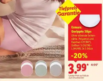 Lidl Esmara Gerippte Slips Angebot