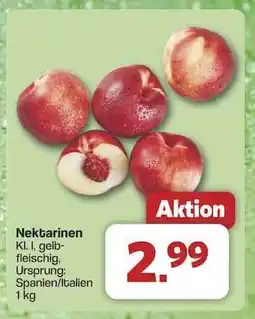 Famila Nord Ost Nektarinen Angebot
