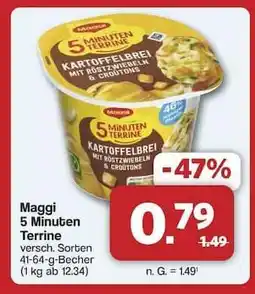 Famila Nord Ost Maggi 5-Minuten-Terrine Angebot