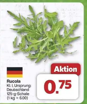 Famila Nord Ost Rucola Angebot