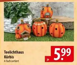 Famila Nord Ost Teelichthaus Kürbis Angebot