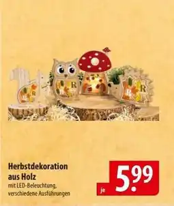 Famila Nord Ost Herbstdekoration aus Holz Angebot