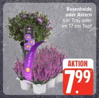 Edeka Besenheide oder Astern Angebot