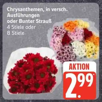Edeka Chrysanthemen, in versch. Ausführungen oder Bunter Strauß Angebot