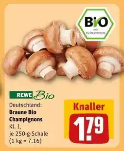 REWE Braune Bio Champignons Angebot