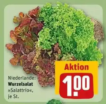 REWE Wurzelsalat Salattrio, je St Angebot