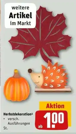 REWE Herbstdekoration Angebot