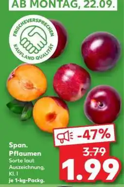 Kaufland Span. Pflaumen Angebot