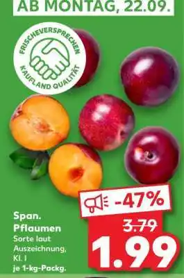 Kaufland Span. Pflaumen Angebot