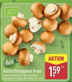 Aldi Nord Kulturchampignons braun Angebot