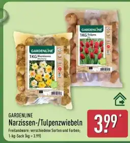 Aldi Nord GARDENLINE Narzissen-/ Tulpenzwiebeln Angebot