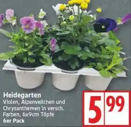Edeka Heidegarten Angebot