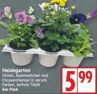 Edeka Heidegarten Angebot