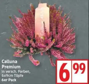 Edeka Calluna Premium Angebot