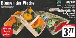 Edeka Edelrosen oder Zierkürbis-Mix im Spankorb Angebot