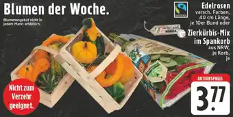 Edeka Edelrosen oder Zierkürbis-Mix im Spankorb Angebot