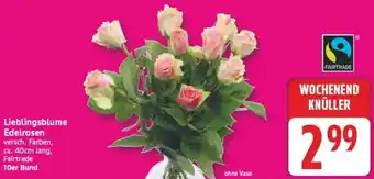 Edeka Lieblingsblume Edelrosen Angebot
