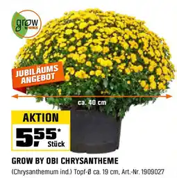 OBI GROW BY OBI CHRYSANTHEME Angebot