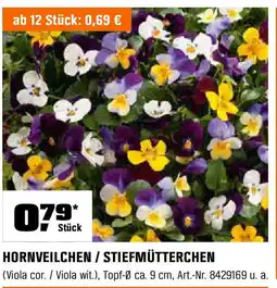OBI HORNVEILCHEN / STIEFMÜTTERCHEN Angebot