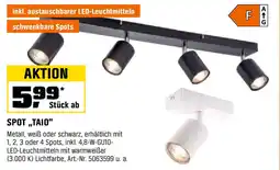 OBI SPOT "TAIO" Angebot