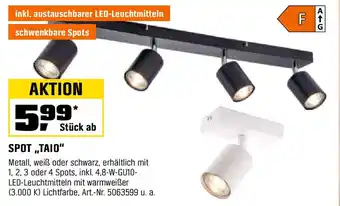 OBI SPOT "TAIO" Angebot